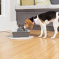 Pet Fountain Seascape | Fresh Filtered Water | Quiet Operation