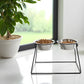 Elevated Double Dog Bowl