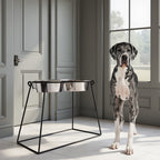 Elevated Double Dog Bowl