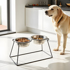 Elevated Double Dog Bowl