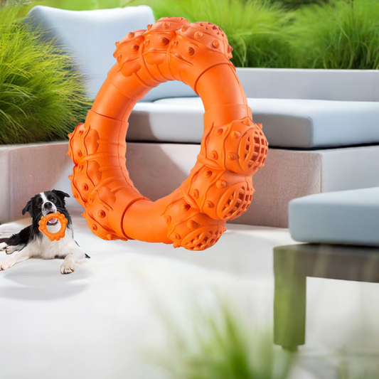 Indestructible Dog Chew Ring | Durable for Aggressive Chewers | Tough Toy