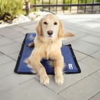 Cooling Mat for Dogs | Keeps Your Pet Cool
