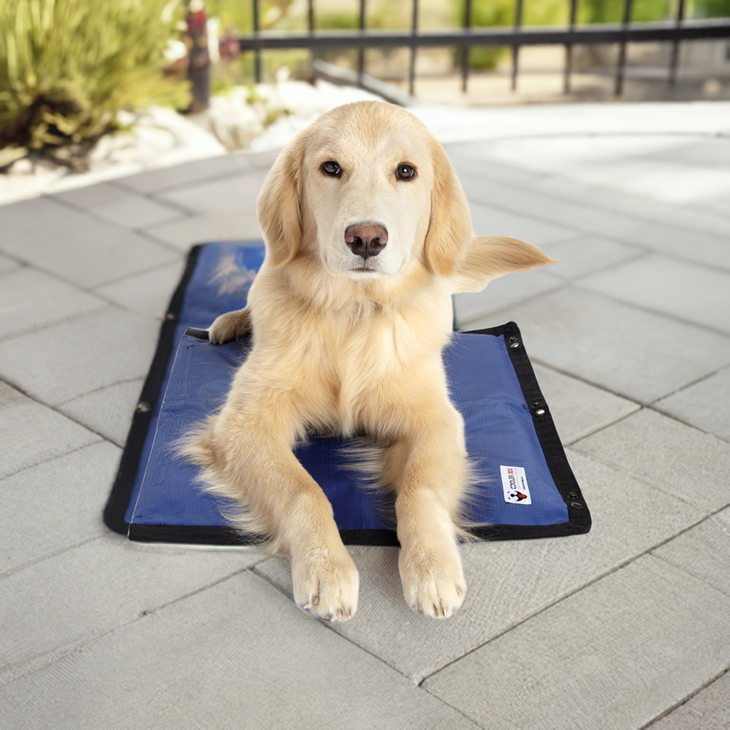 Cooling Mat for Dogs | Keeps Your Pet Cool