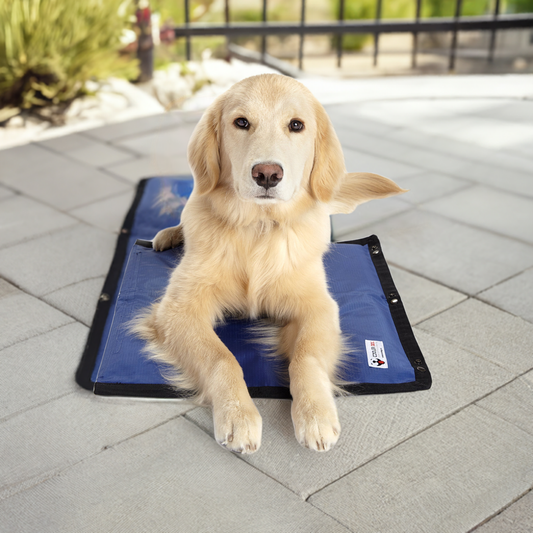 Cooling Mat for Dogs | Keeps Your Pet Cool