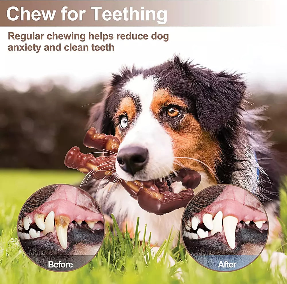 Indestructible Dog Toys | Extreme Tough for Aggressive Chewers | Large