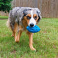 Dog Chew Toys for Aggressive Chewers | Indestructible Durable Squeaky