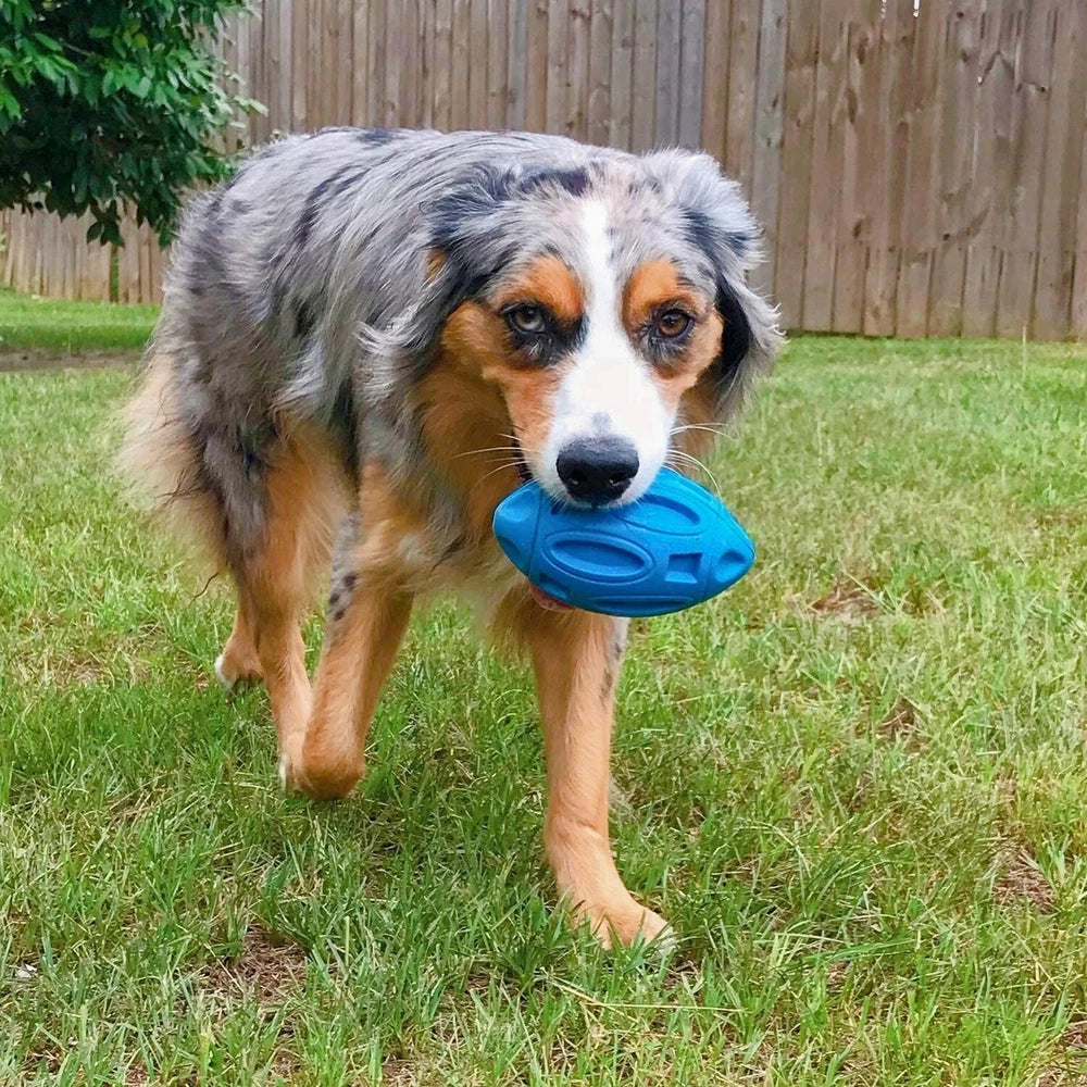 Dog Chew Toys for Aggressive Chewers | Indestructible Durable Squeaky