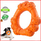 Indestructible Dog Chew Ring | Durable for Aggressive Chewers | Tough Toy