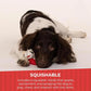 Dog Chew Toys for Aggressive Chewers | Indestructible Tough Squeaky