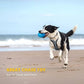 Dog Chew Toys for Aggressive Chewers | Indestructible Durable Squeaky