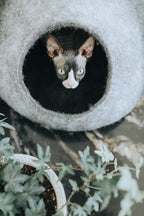 Cat Cave Bed | Cozy Hideaway | Eco-Friendly Material | Stylish Design