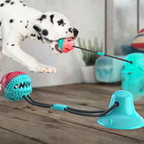 Pull Rope Chew Toy | Strong Suction Cup | Durable Dog Playtime