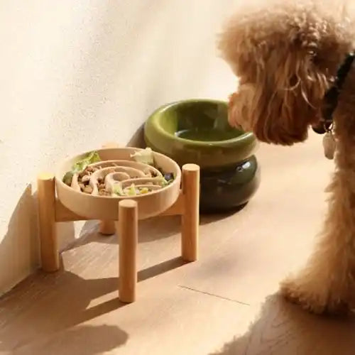 Wave Slow Feeder Ceramic Pet Bowl | Promotes Healthy Eating | Reduces Bloating