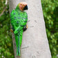 Parrot Realistic Vivid Ornament 12.2"