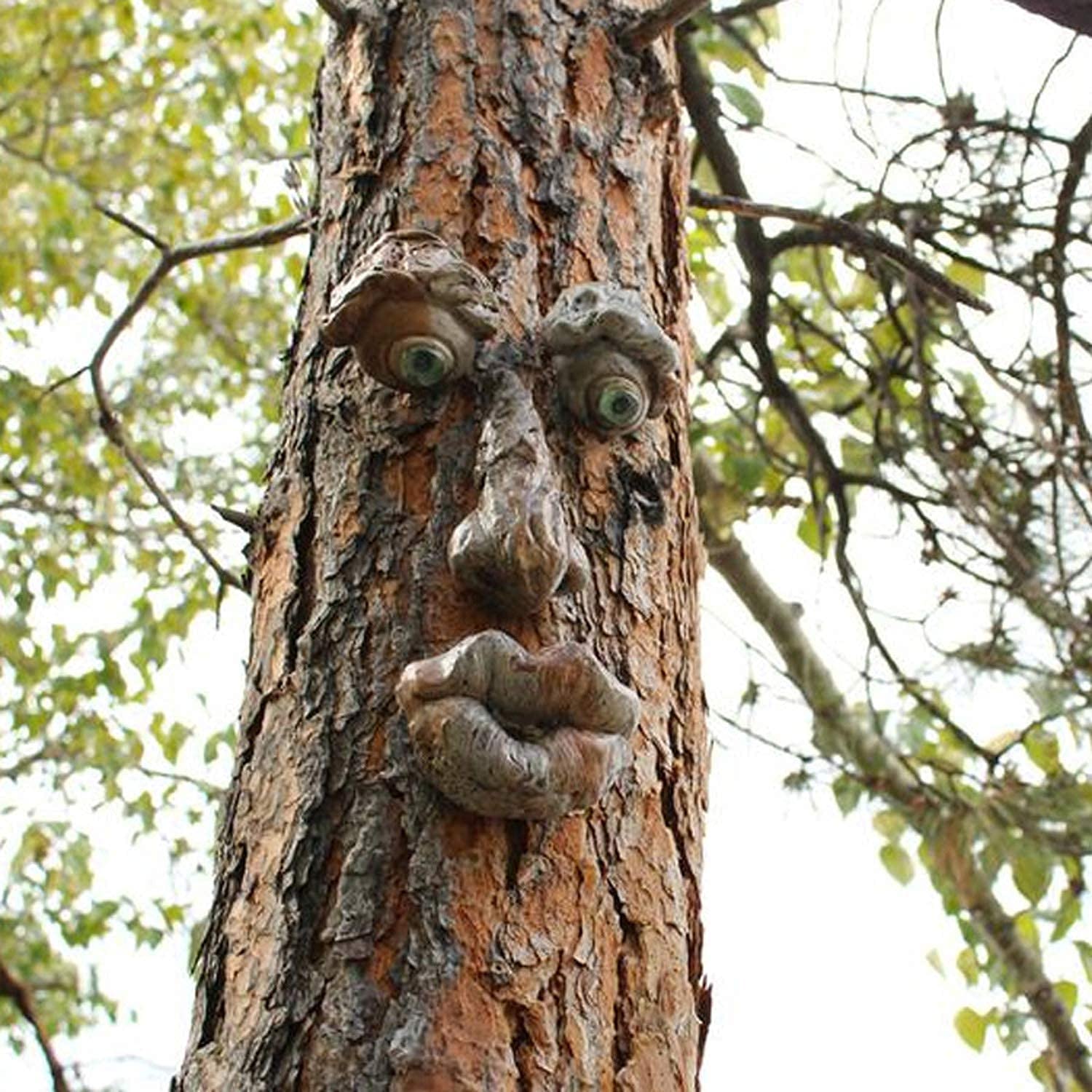 Funny Tree Faces | Tree Decoration | Garden Decoration – GOBLIZZ