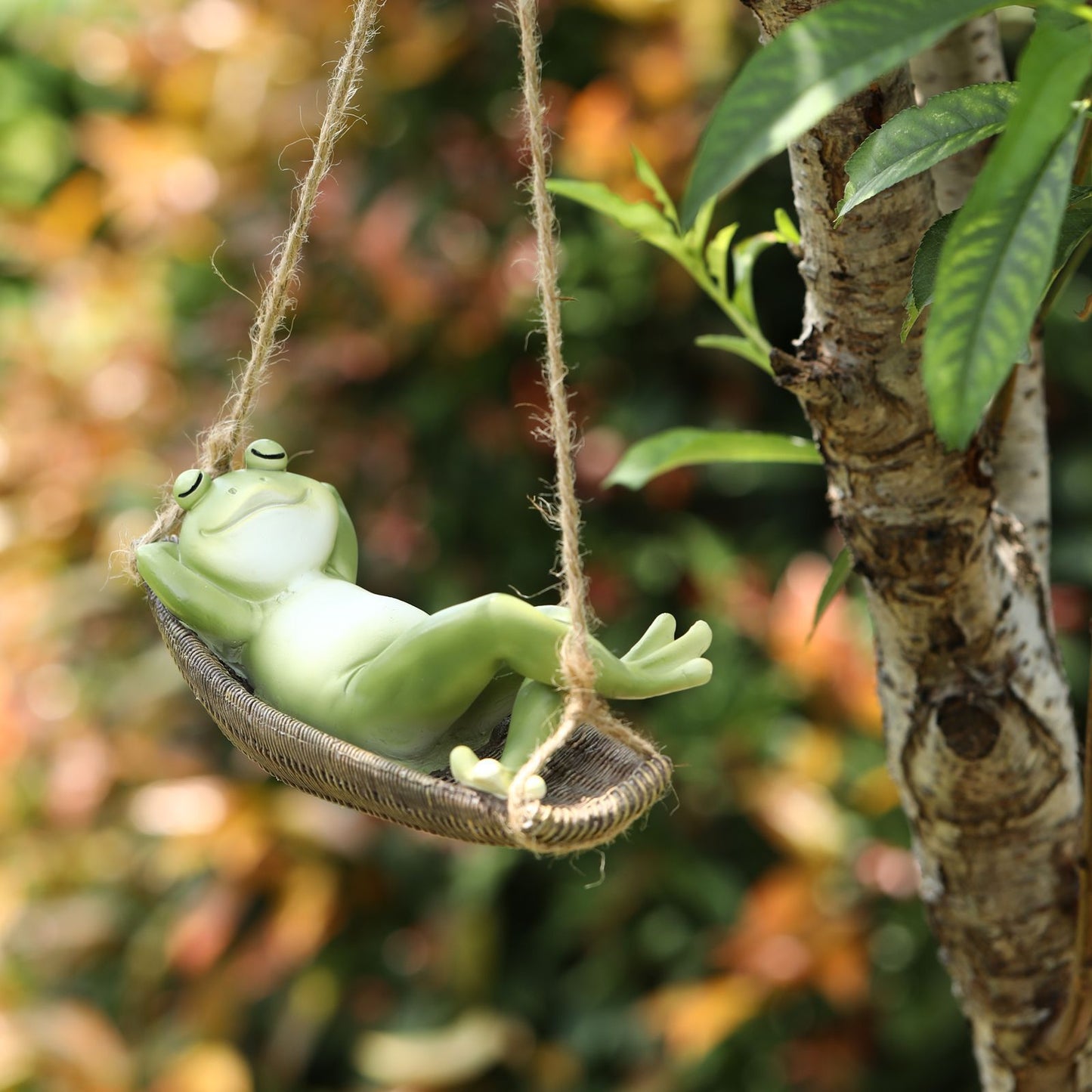 Frog Swinging On Hammock