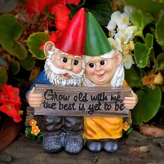 growing-old-together-gnomes