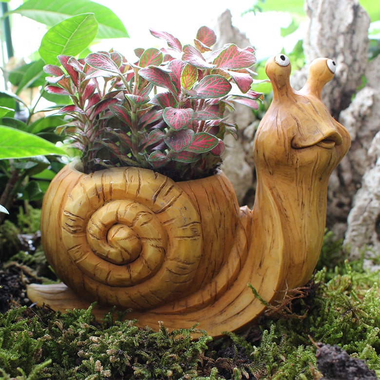 Snail Flower Pot