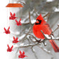 Solar Cardinal Wind Chime Light